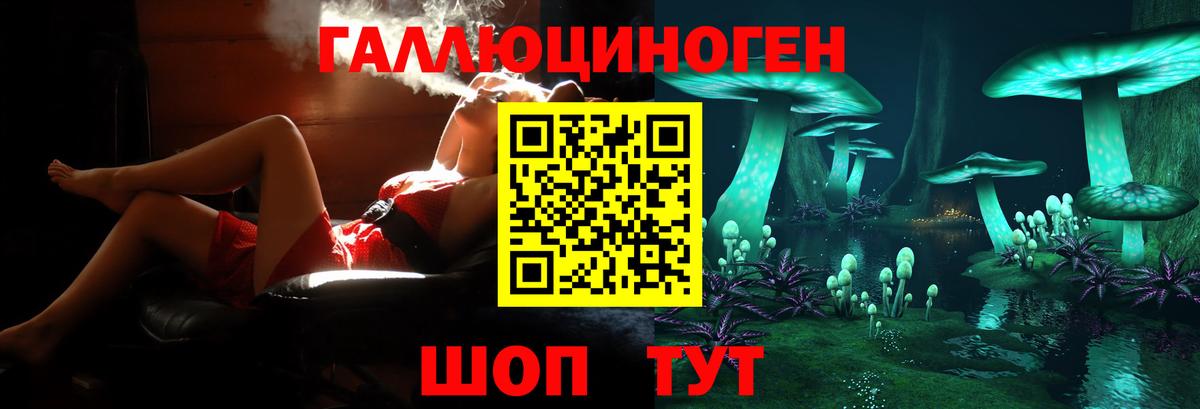 Галлюциногенные грибы Psilocybe Нижневартовск